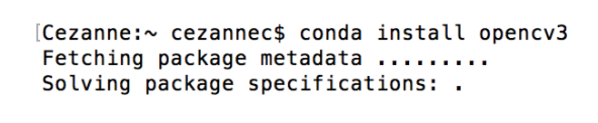  我的（Cezanne's）终端窗口中的安装命令的屏幕截图